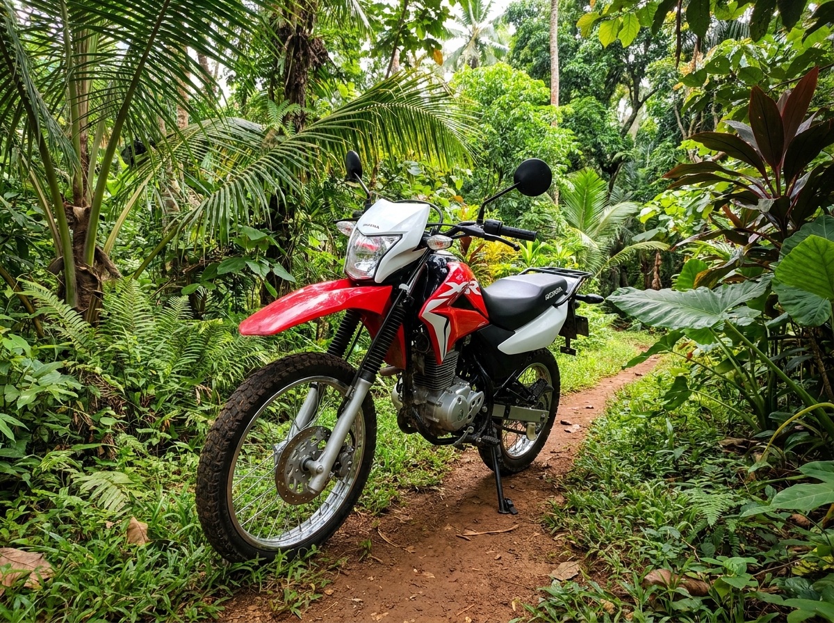 Honda XR150